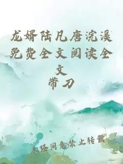 龙婿陆凡唐浣溪免费全文阅读全文