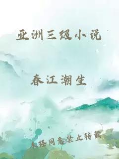 亚洲三级小说