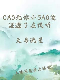 CAO死你小SAO货湿透了在线听