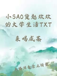 小SAO货赵欢欢的大学生活TXT