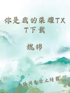 你是我的荣耀TXT下载