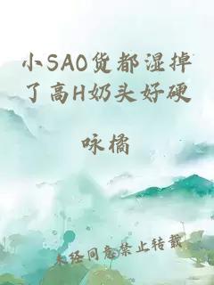 小SAO货都湿掉了高H奶头好硬