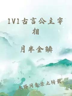 1V1古言公主宰相