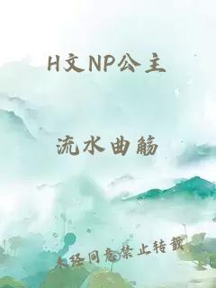 H文NP公主