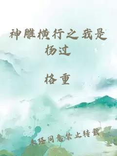 神雕横行之我是杨过