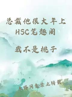 总裁他很大年上HSC笔趣阁