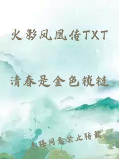 火影凤凰传TXT