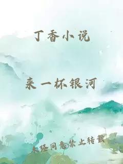 丁香小说