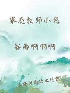 家庭教师小说