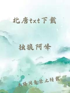 北唐txt下载