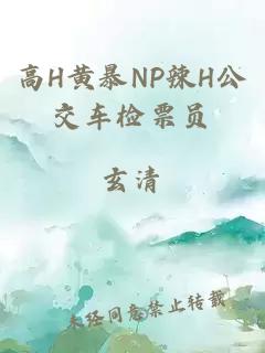 高H黄暴NP辣H公交车检票员