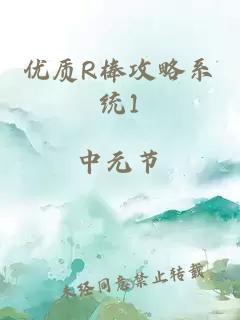 优质R棒攻略系统1