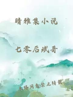 晴雅集小说