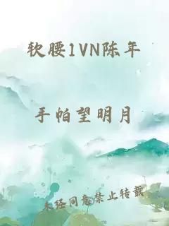 软腰1VN陈年