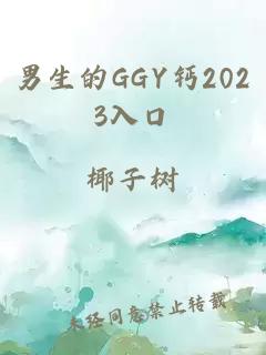 男生的GGY钙2023入口