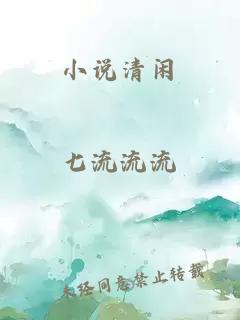 小说清闲