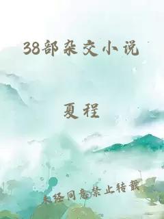 38部杂交小说