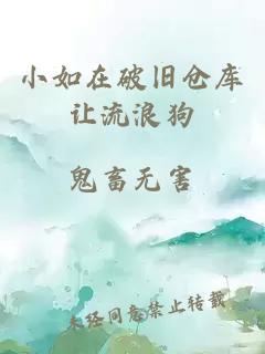 小如在破旧仓库让流浪狗