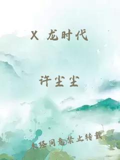 X 龙时代