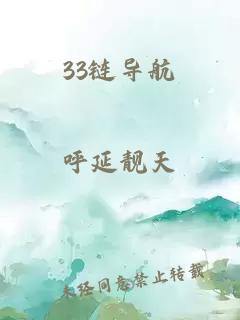 33链导航