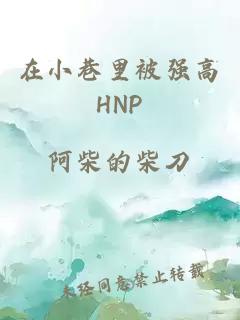 在小巷里被强高HNP