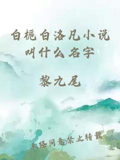 白栀白洛凡小说叫什么名字