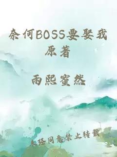 奈何BOSS要娶我原著