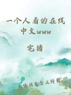 一个人看的在线中文www