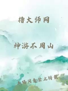 撸大师网