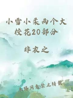 小雪小柔两个大校花20部分