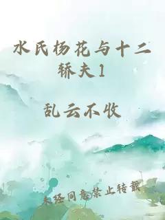 水氏杨花与十二轿夫1