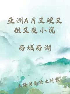 亚洲A片又硬又粗又爽小说