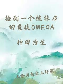 捡到一个被抹布的贵族OMEGA