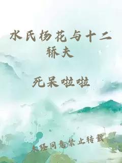 水氏杨花与十二轿夫