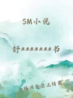 SM小说