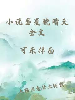 小说盛夏晚晴天全文