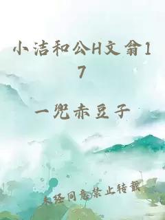 小洁和公H文翁17