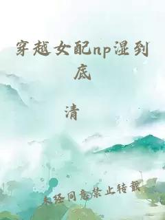 穿越女配np湿到底