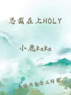 总裁在上HOLY