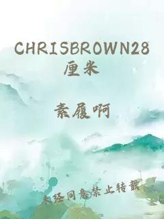 CHRISBROWN28厘米