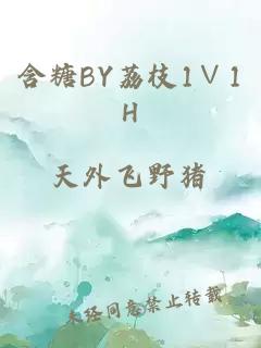 含糖BY荔枝1∨1H