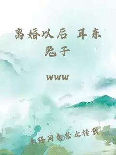 离婚以后 耳东兔子