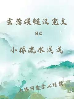 玄莺煨糙汉宠文 sc