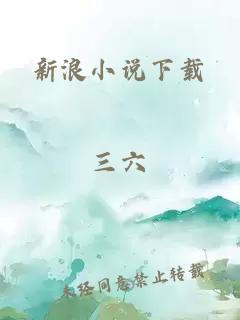 新浪小说下载