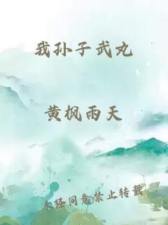 我孙子武丸