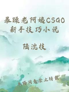 暴躁老阿姨CSGO新手技巧小说