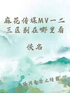 麻花传媒MV一二三区别在哪里看