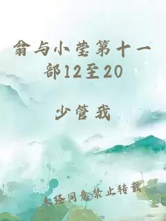 翁与小莹第十一部12至20