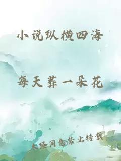 小说纵横四海