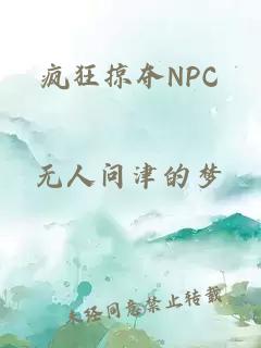 疯狂掠夺NPC